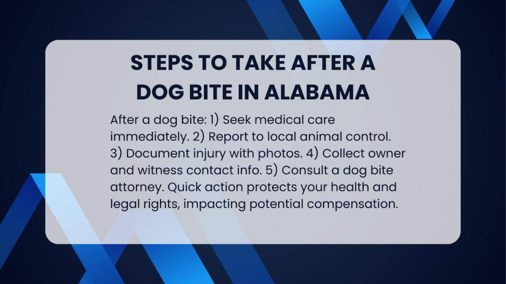 An infographic describing the steps to take after you've been bitten by a dog in Alabama.