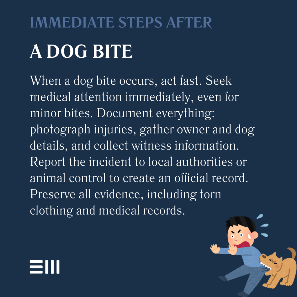 An infographic illustrating immediate steps after a dog bite.