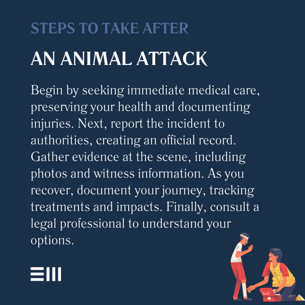 An infographic illustrating steps to take after an animal attack.