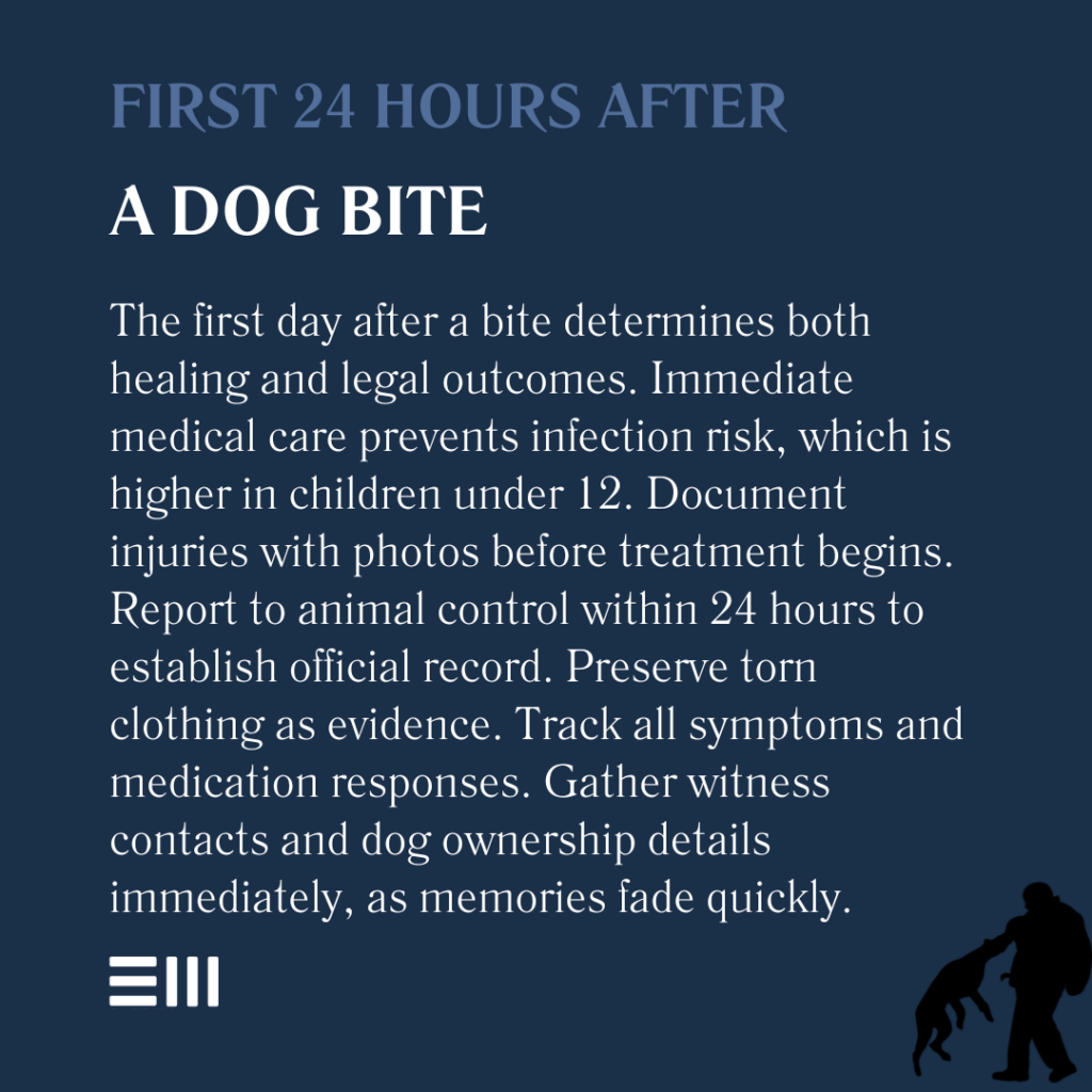 An infographic illustrating first 24 hours after a dog bite.