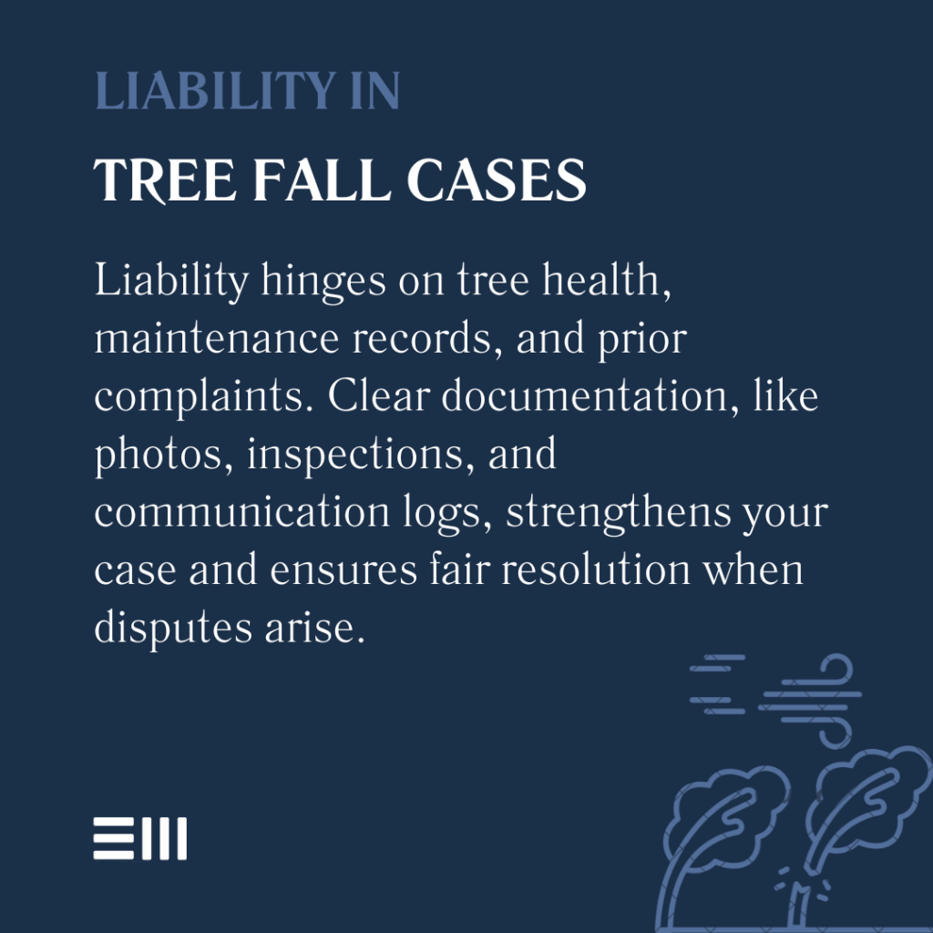 An infographic illustrating liability in tree fall cases.