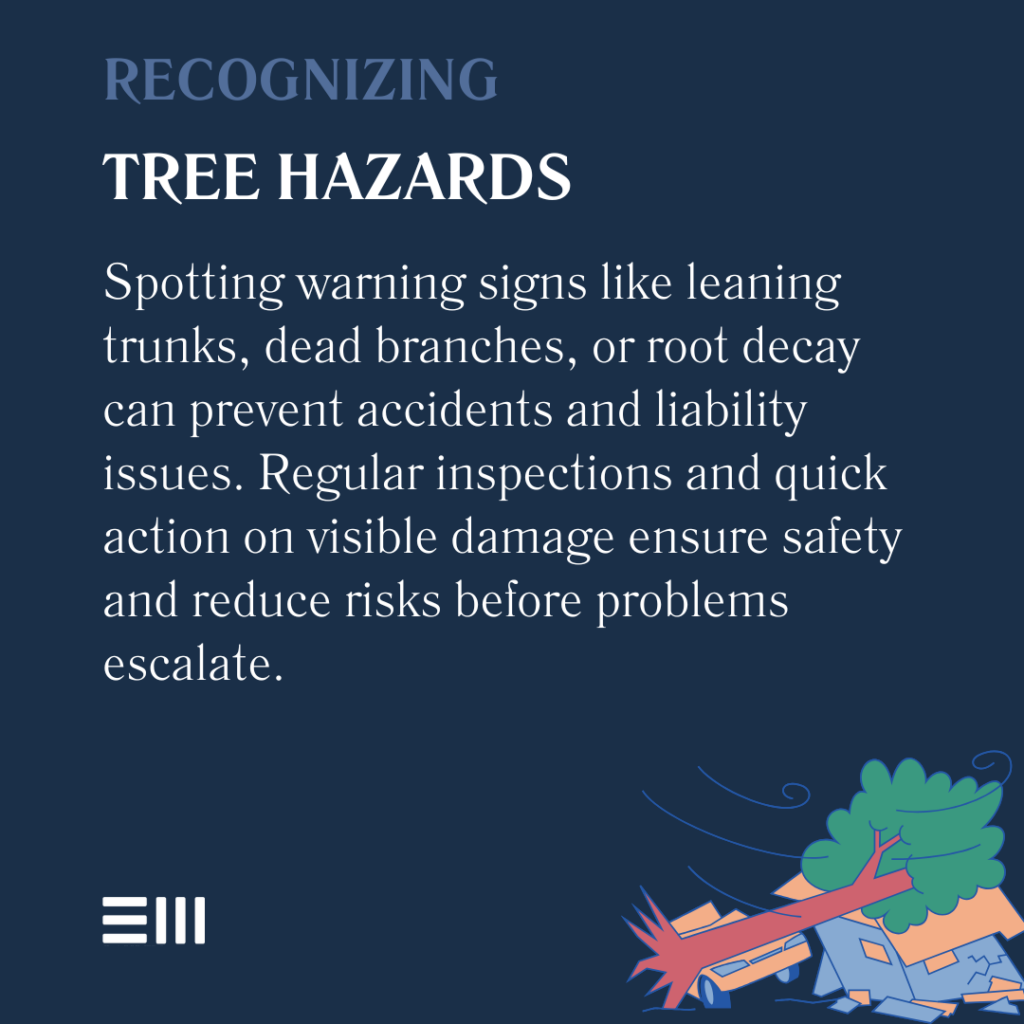 An infographic illustrating recognizing tree hazards.