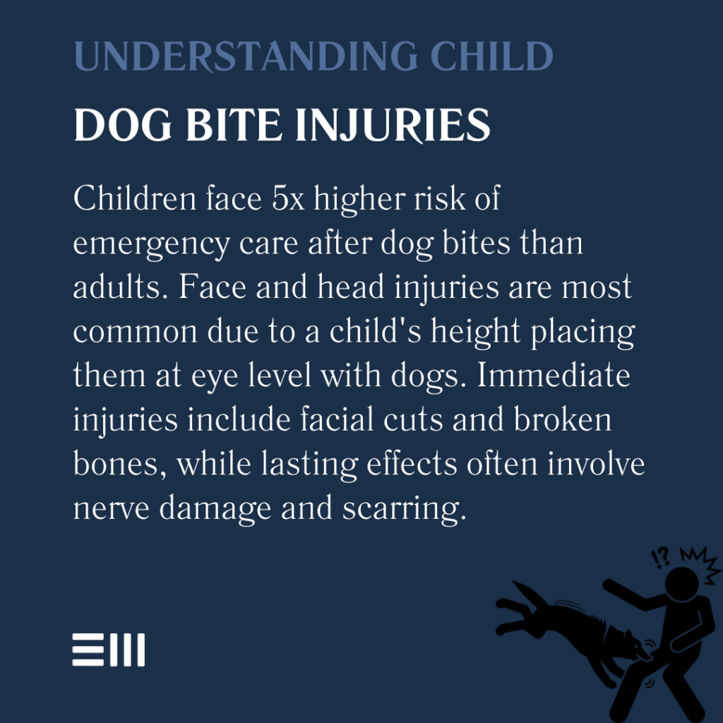 An infographic illustrating understanding child dog bite injuries.