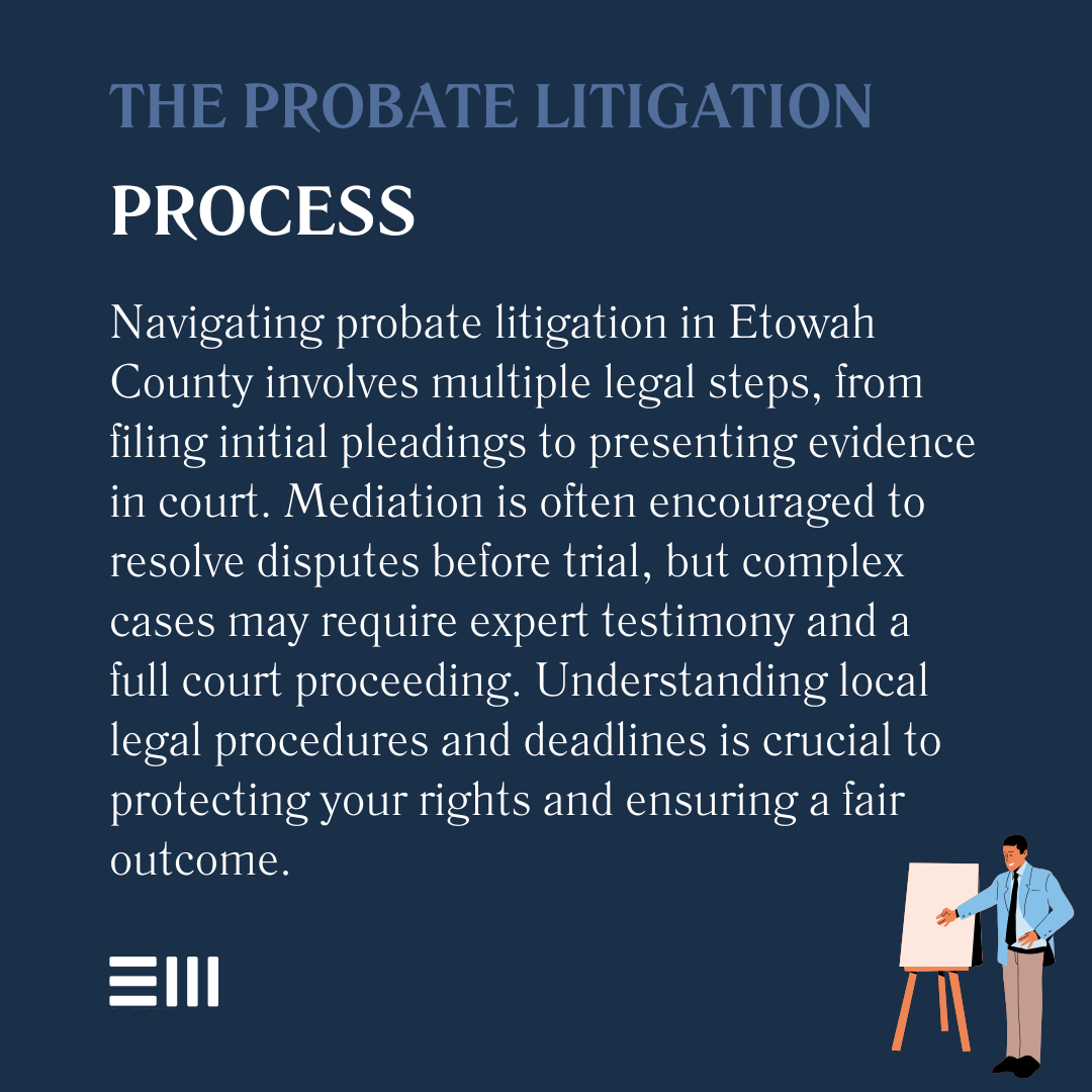 An infographic illustrating the probate litigation process.