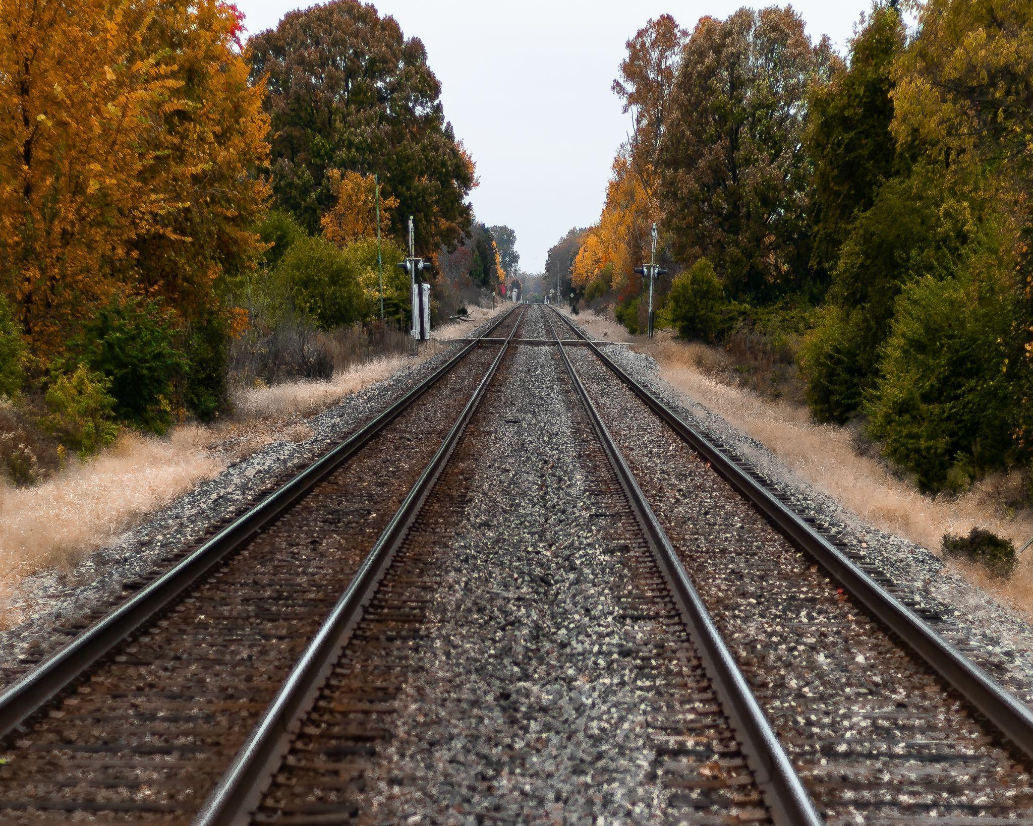 Empty parallel railroad tracks running into the distance through a quiet rural corridor lined with trees showing autumn yellow, orange, and green foliage on either side.